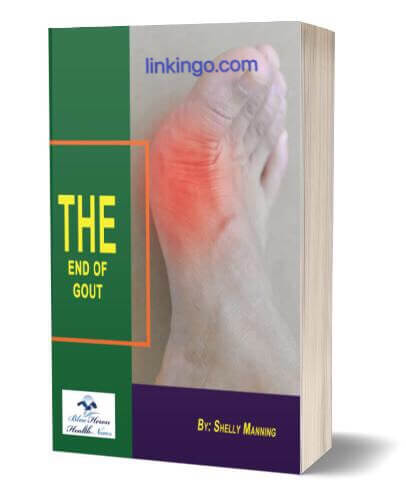 the end of gout review
