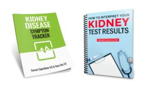 how to interpret kidney test results