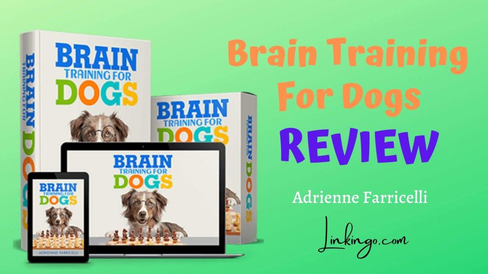 brain training for dogs review