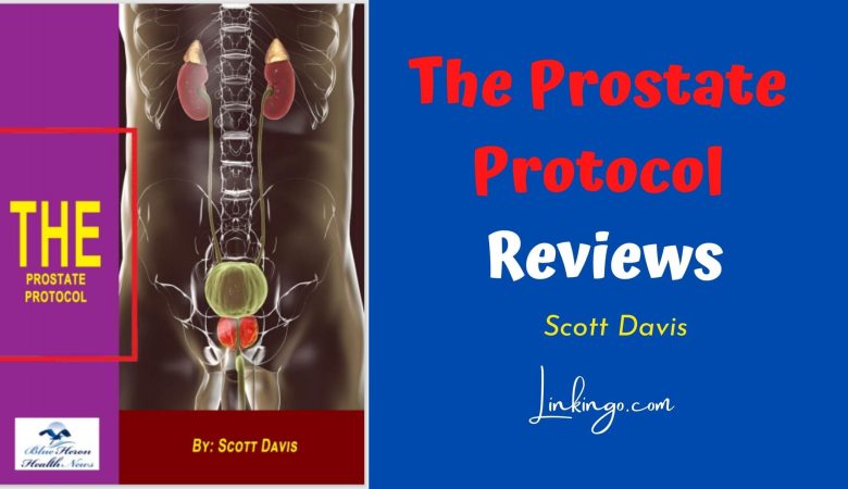 the prostate protocol review